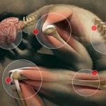 Terapia Morfoanalítica nos Transtornos de Sintomas Somáticos